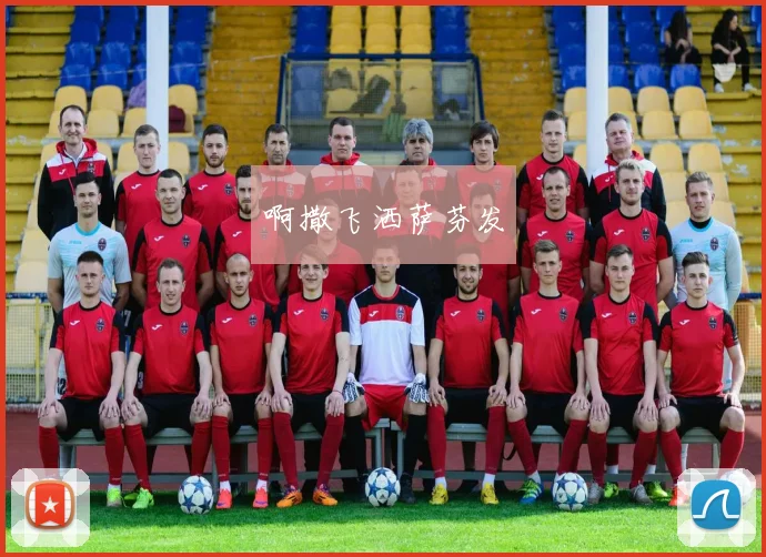 中超联赛中权健队的排名情况与赛季表现