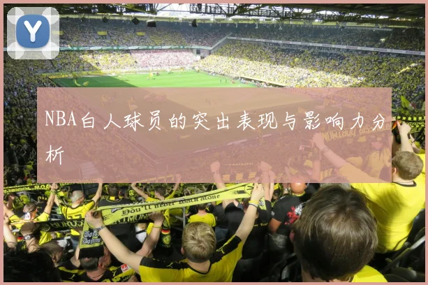 NBA白人球员的突出表现与影响力分析