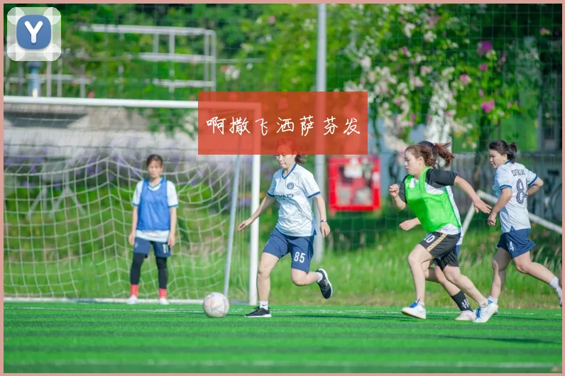 中超联赛中权健队的排名情况与赛季表现